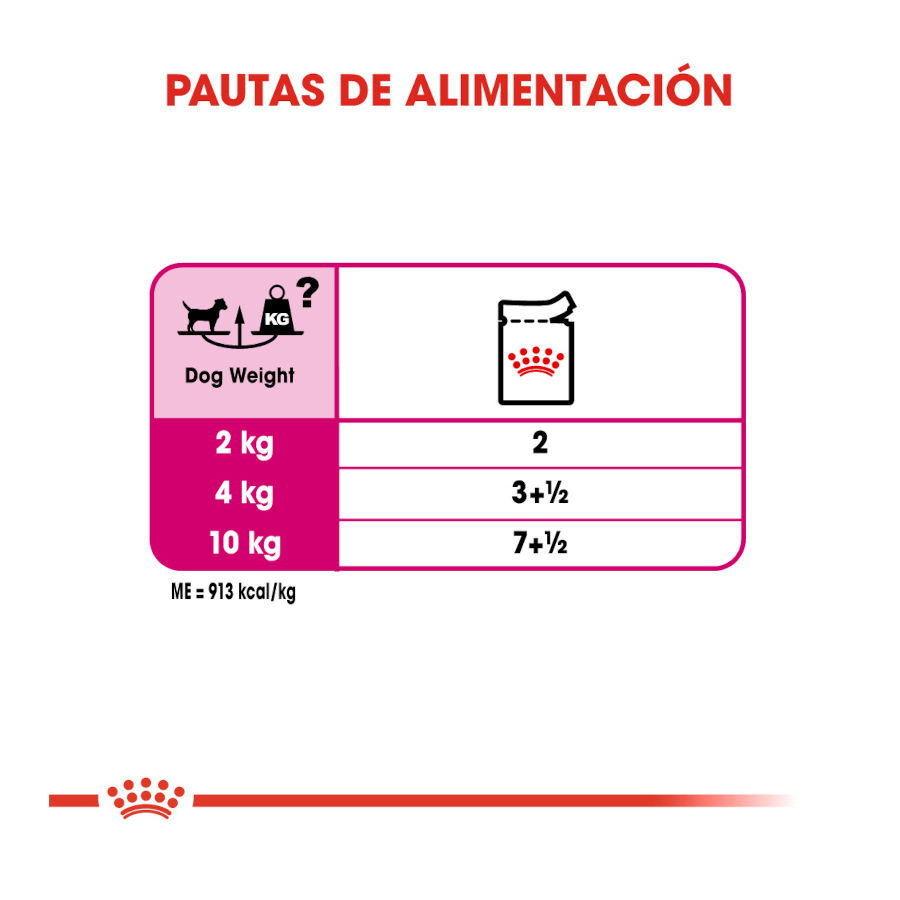 85 g Royal Canin Exigent pat&ecirc; sobresaqueta para c&atilde;es, , large Imagem n&uacute;mero 7